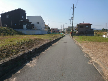 現地調査