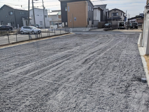縄張り