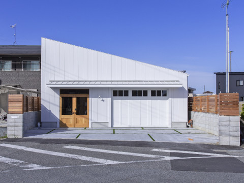 芝目地