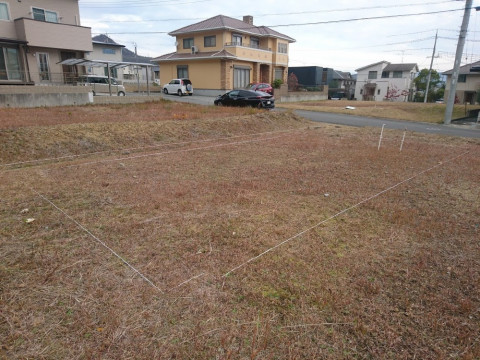 縄張り